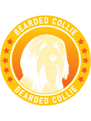 Bearded Collie Dog Portrait