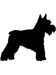 Bearded Collie Dog Silhouette