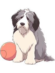 Cute Bearded Collie Sad