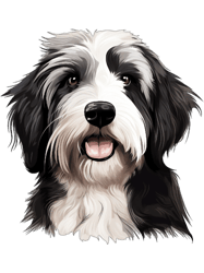 Cute Happy Bearded Collie