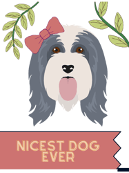 Nicest Dog Everbearded Collie