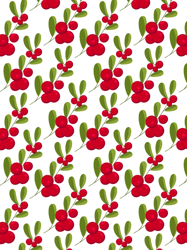 beautiful pattern with the red cranberries graphic