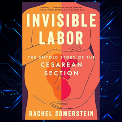 invisible labor kindle edition by rachel somerstein