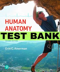 human anatomy and physiology 2nd edition by amerman test bank