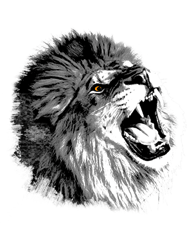 Lion illustration