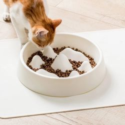 pet slow food bowl