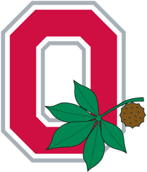 ohio state logo svg, ohio state buckeyes svg, ncaa svg, sport svg, football team svg, digital download (10)