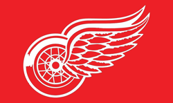 detroit red wings svg, detroit red wings logo svg, nhl svg, sport svg, hockey team svg, digital download-3