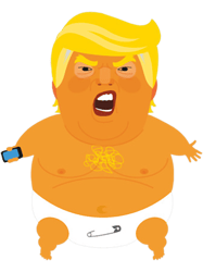 baby trump products