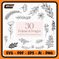 30 botanical svg bundle | floral svg |flower svg |botanical clipart |flower clipart |floral leaves and branches svg
