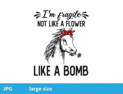 i'm fragile not like a flower jpeg image cartoon digital file