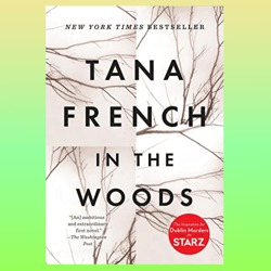 in the woods: a novel by tana french