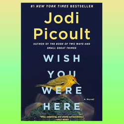 wish you were here: a novel