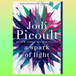 a spark of light: a novel