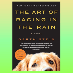 the art of racing in the rain: a novel
