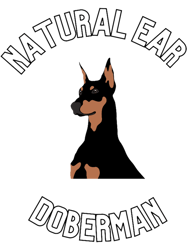 natural ear doberman(22)