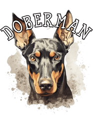 natural ear doberman