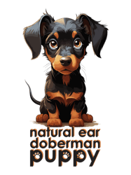 natural ear doberman4