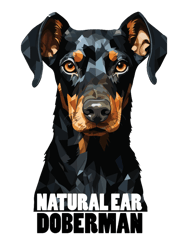 natural ear doberman5