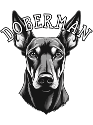 natural ear dobermant (1)