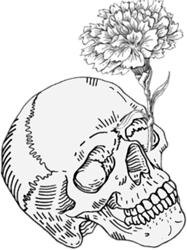 skull and white carnation design