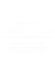 cissp exam cybersecurity professional it security