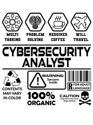 internet security analyst