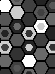 black and white hexagons