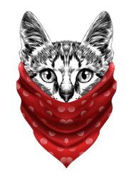 cat bandana gangster cat wearing red bandana