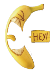 Savannah Bananas (2)
