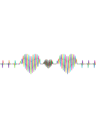 heart cardiac rhythm