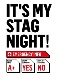 its my stag night! emergency info (for light colours) a