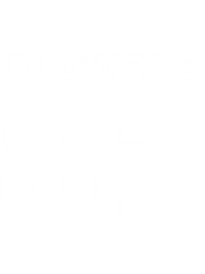the kllers brandon flowers 81 football shirt