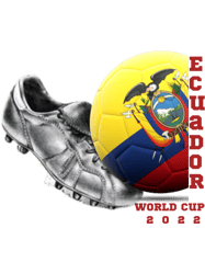 world cup ecuador 2022world cup football