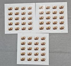 celebration corsage 2017 stamps perfect for amassing, inviting, weddings, promotional activities, and more