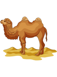 camel drawing-like illustration