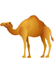 simple camel illustration