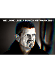 guenther steiner - bunch of wankers