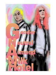 gender neutral almond milk hotel