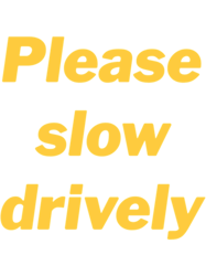 please slow drively funny meme