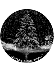 winter fir