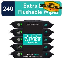 wipes flushable wipes, xl wet wipes for at home use, mint chill, 48 count, 5 pack - n1119