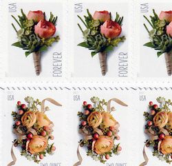 celebration corsage 2017 stamp, artistry in stamps - crafting impressions