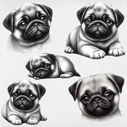 pug sticker svg ,weatherproof stickers, pug svg , svg sticker, instant download.