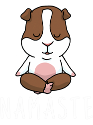 Guinea Pig Yoga 23, Png, Png For Shirt, Png Files For Sublimation, Digital Download, Printable