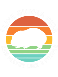 I Like Guinea Pigs And Maybe 3 People Funny Guinea Pig, Png, Png For Shirt, Png Files For Sublimation, Digital Downloade