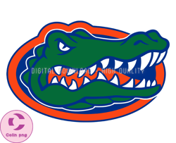 Florida Gators Rugby Ball Svg, ncaa logo, ncaa Svg, ncaa Team Svg, NCAA, NCAA Design 92