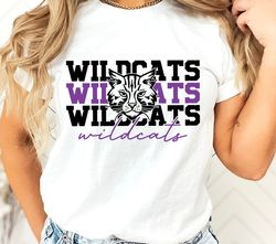 wildcats svg png, wildcats face svg, wildcats mascot svg, wildcats shirt svg, wildcats cheer svg, wildcats vibes svg, sc