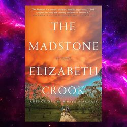 the madstone: a novel by elizabeth crook