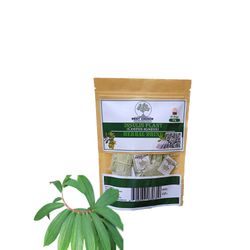 organic insulina plant herbal drink ( costus igneus ) thebu 20 tea bags